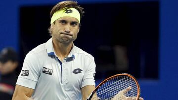 David Ferrer.