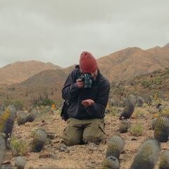Chileno dedica su vida a mantener vivo el desierto: más de la mitad de cactus nativos están en peligro de extinción