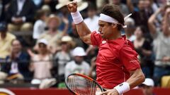 Ferrer abre la puerta grande y lleva a España a semifinales