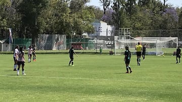 Chivas agoniza en la Liga MX Femenil