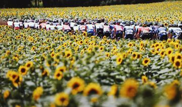 El pelotón durante la decimocuarta del Tour de Francia 2021.