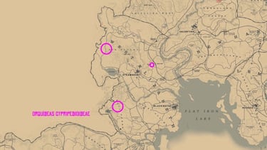 Todos los objetos exóticos de Red Dead Redemption 2