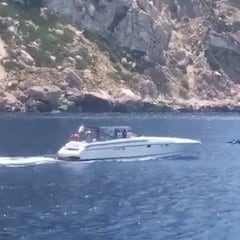 Momento para el recuerdo: un grupo de delfines se unió a la despedida de Ángel Nieto