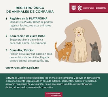 CURP para mascotas CDMX: qué es, cómo tramitar, requisitos y de cuánto es la multa por no darla de alta