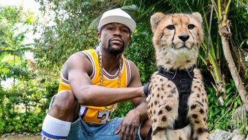 Mayweather contruir¨¢ una red de casinos en Jap¨®n que promocionar¨¢ luchando con Pacquiao