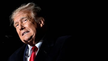 Según una encuesta realizada por la Universidad Quinnipiac, la candidatura de Donald Trump para la presidencia de USA sería “dañina” para el país.