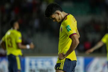 Colombia se queda afuera del Mundial de Qatar.
