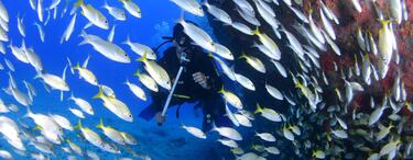 Los cinco mejores destinos para bucear en Semana Santa