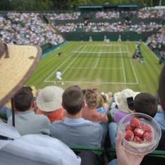 Por qué la transparencia es clave en las apuestas: obligaciones y exigencias