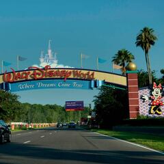Police confirm brawl between two families at Disney World in Florida