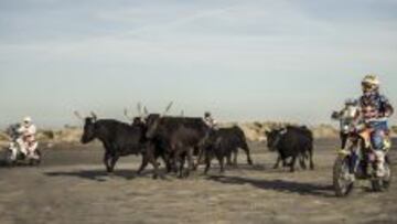 CON CUIDADO. Viladoms rueda en su KTM como un ‘gardian’, así se conoce a quien guía el ganado.