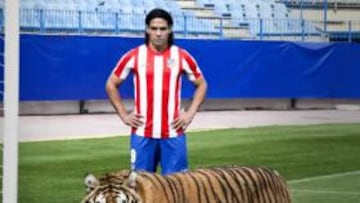 <b>DOS TIGRES. </b>Falcao posa con Carla, una tigresa de 250 kilogramos.