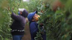 &iquest;Qu&eacute; pasar&aacute; con la industria cervecera en los pr&oacute;ximos meses?