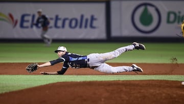 Los Playoffs al momento en la Liga Arco Mexicana del Pacífico