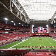 ¡Por fin! Llegaron los picks de los Finales de Conferencia de la NFL