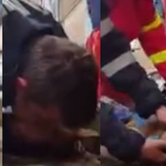 Un bombero salva la vida de un perro al practicarle el boca a boca