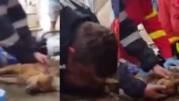 Un bombero rumano logró salvar la vida de un perro al practicarle el boca a boca.