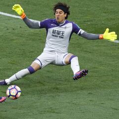 Las críticas acaban con Ochoa