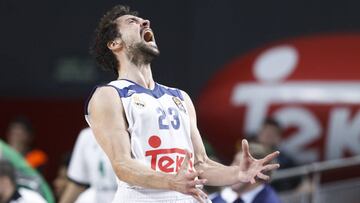 Sergio Llull.
