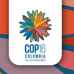 Llega la COP16 a Cali con estos temas encima de la mesa: así se beneficiará el país