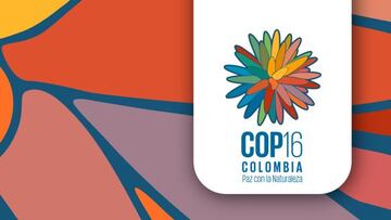 Cumbre de #Biodiversidad más importante del mundo.
#COP16Colombia 🇨🇴