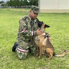 Encuentran a los niños perdidos en la Selva, en vivo: reacciones y últimas noticias del 11 de junio