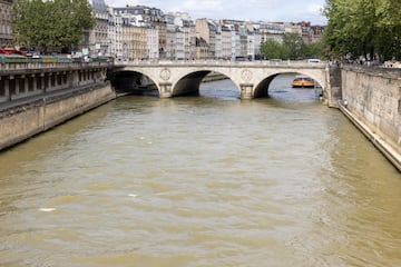 A tourist boat sails on the Seine River.
