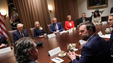 U.S. Vice President JD Vance speaks during a cabinet meeting at the White House, in Washington, D.C., U.S., March 24, 2025. REUTERS/Carlos Barria