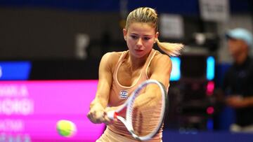 Giorgi lands Linz title to end three-year trophy drought