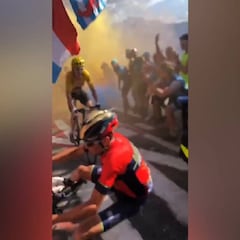 Video captures Vincenzo Nibali Tour de France crash