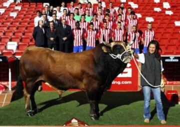 La plantilla del Sporting de Gijón cumplió con un peculiar compromiso publicitario al fotografiarse en el estadio de El Molinón con las reses campeonas de Asturias en los concursos organizados por las Asociaciones de Criadores y auspiciados por la Indicación Geográfica Protegida (IGP) "Ternera Asturiana", uno de los patrocinadores del club.