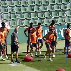 Elche es franjiverde y ché