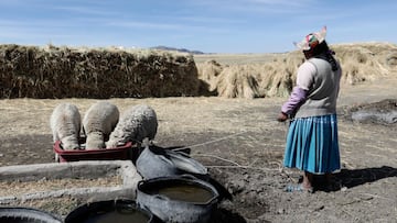 Pensiones AFP: cuál es la nueva edad de jubilación anticipada y requisitos