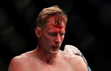 Volkov noqueó a Werdum en Londres y reclama el título