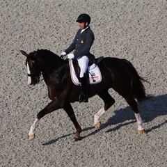 Doma clásica en los Juegos Olímpicos de París 2024: reglas, formato, pruebas y puntuación