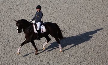 Severo Jurado de doma. 