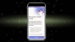 Así es la app Radar Covid por dentro: el gobierno publica su código fuente