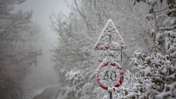 MTI101. UJUDVAR (HUNGRÍA), 19/11/2018.- Vista de una carretera cubierta por la nieve cerca de Ujudvar, a 220 km de Budapest (Hungría), hoy, 19 de noviembre de 2018. EFE/ Gyorgy Varga PROHIBIDO SU USO EN HUNGRÍA