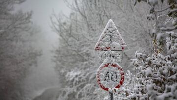 MTI101. UJUDVAR (HUNGR&Iacute;A), 19/11/2018.- Vista de una carretera cubierta por la nieve cerca de Ujudvar, a 220 km de Budapest (Hungr&iacute;a), hoy, 19 de noviembre de 2018. EFE/ Gyorgy Varga PROHIBIDO SU USO EN HUNGR&Iacute;A