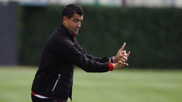 Rub&eacute;n Torrecilla, entrenador del Granada.