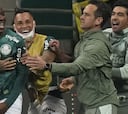 Palmeiras 3-0 Sao Paulo: goles, resumen y resultado
