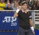 Del Potro vuelve con victoria ante Nishioka en Delray Beach