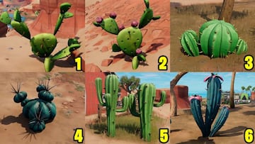 Estos son los distintos tipos de cactus que hay en Fortnite