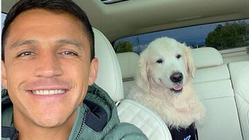 "No se pongan celosos": Alexis le responde a los hinchas de Colo Colo