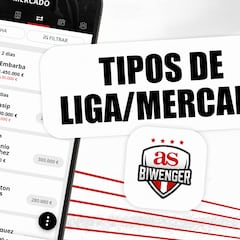 Tipos de ligas existentes en Biwenger en función del mercado