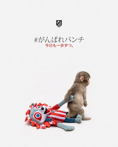 Los mejores memes de la jornada: la derrota del Madrid, la “caída” de Asencio...