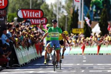 Peter Sagan consigue la victoria en esta undécima etapa.