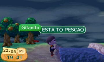 Captura de pantalla - Animal Crossing: New Leaf (3DS)