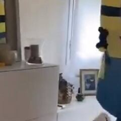 Los Márquez: reto del papel de WC, 'Minions', confinamiento...