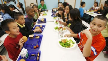 El regreso a clases ha llegado. Conoce cuáles son los estados que ofrecen comidas escolares gratuitas para todos los niños.